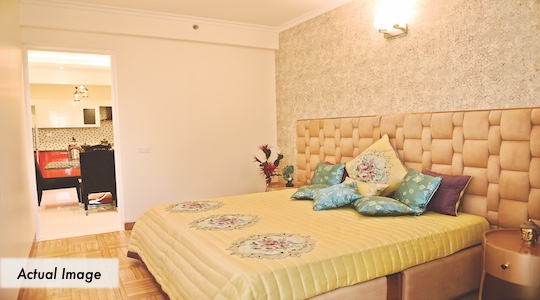 feature-image